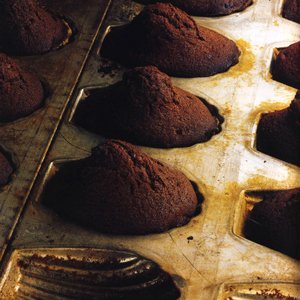 Chocolate Madeleines Chocolate Madeleines