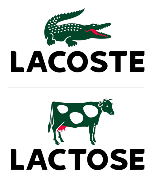 20101109-Lactose
